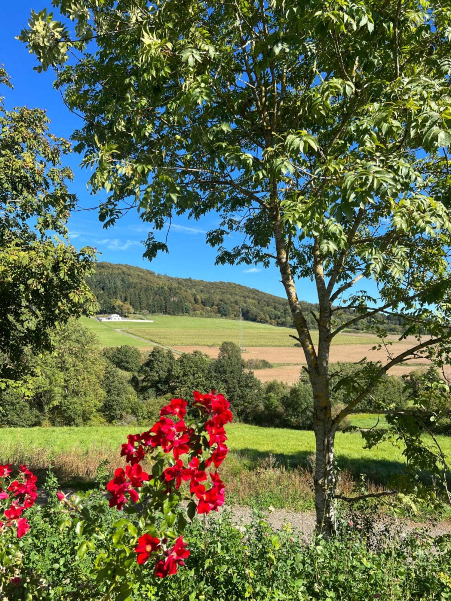 Netten Naturerlebnis Holz-Chalets Daun Luaran gambar
